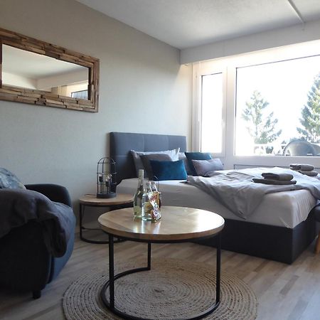 Mountain Suite Winterberg Pool Sauna Hund 4 Pers Wifi Near Bikepark ภายนอก รูปภาพ